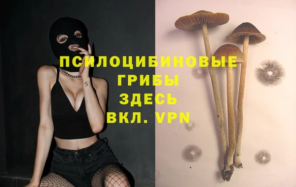 мескалин Каменск-Шахтинский