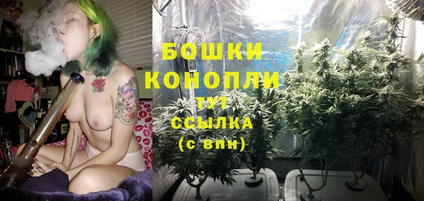 амфетамин Каменка