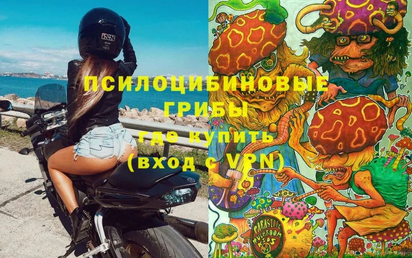 альфа пвп Каменногорск